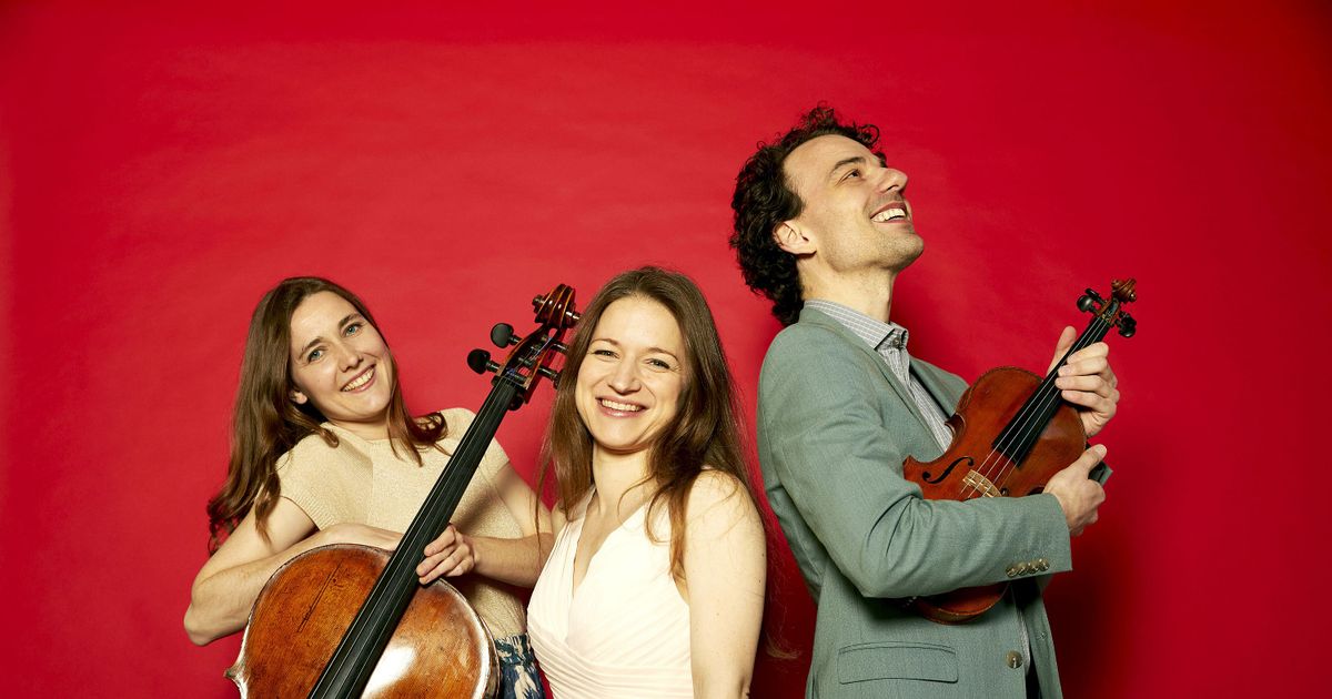 DELTA PIANO TRIO — Stichting voor Kamermuziek