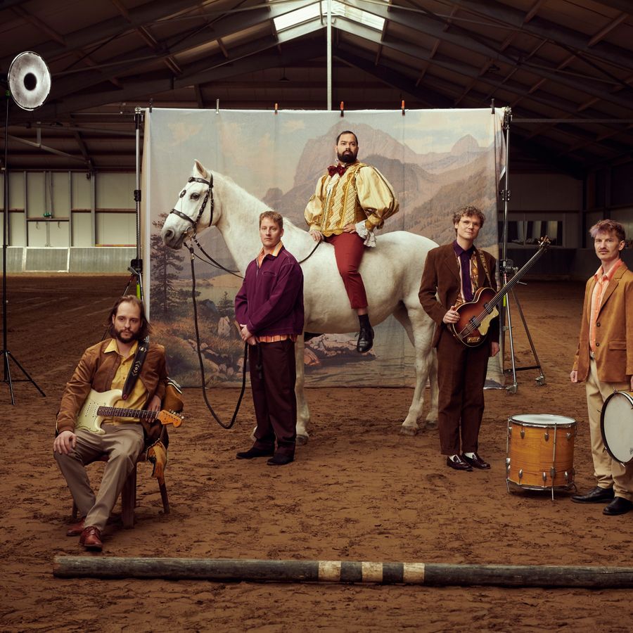 Peter van Rooijen & band